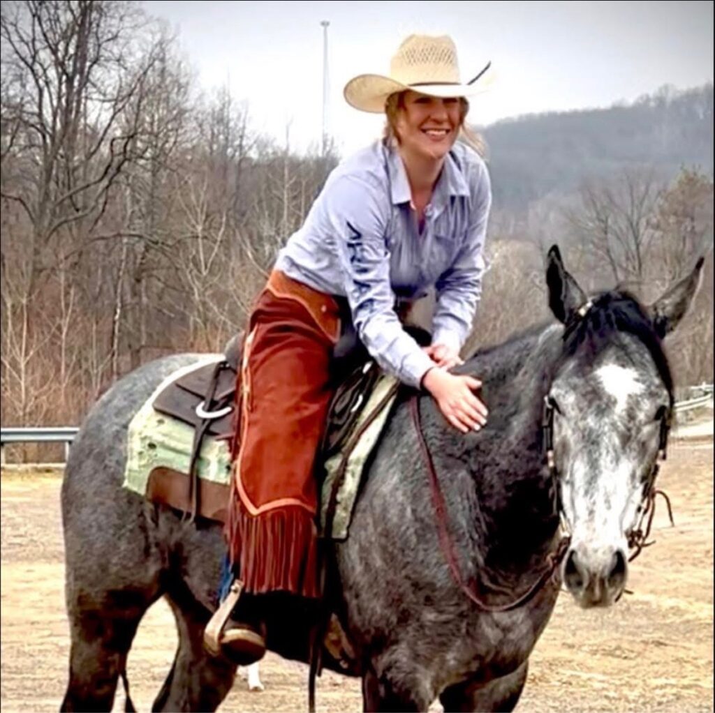 horses for sale
